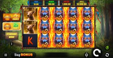 Blazing Spirit Hold and Win: Spielautomat