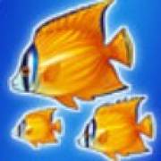 Blue Dolphin: Fisch