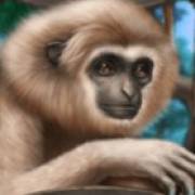 Blue Panther: Affe