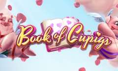 Spiel Book of Cupigs