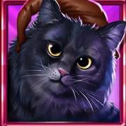 Book Of Enchantments: Katze