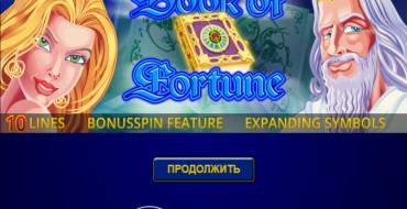 Book of Fortune: Spielautomat