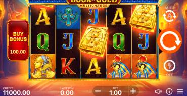 Book of Gold Multichance: Spielautomat