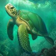 Book of Poseidon: Schildkröte