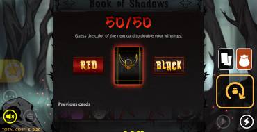 Book of Shadows: Karten-Risiko-Spiel