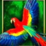 Book of The Jungle: Papagei
