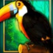 Book of The Jungle: Tukan
