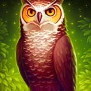 Book of Wizard: Crystal Chance: Eule