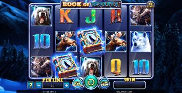 Book Of Wolves: Spielautomat