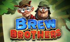 Spiel Brew Brothers