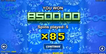 Brick Snake 2000: Gewinne