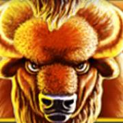Buffalo Blitz: Bison