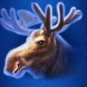 Buffalo Blitz: Rentier