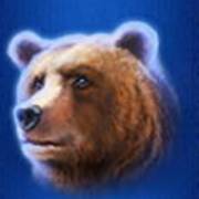 Buffalo Blitz: Bär