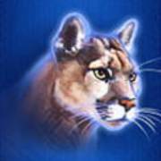 Buffalo Blitz: Luchs