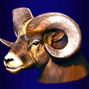 Buffalo Lightning: Ziege