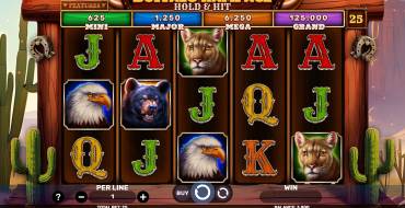 Buffalo Rampage – Hold & Hit: Spielautomat