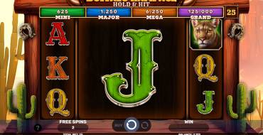 Buffalo Rampage – Hold & Hit: Einzigartige Merkmale