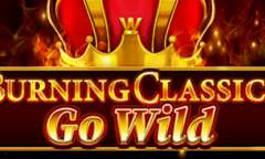 Spiel Burning Classics Go Wild