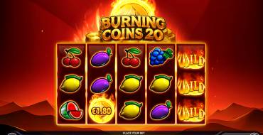 Burning Coins 20: Spielautomat