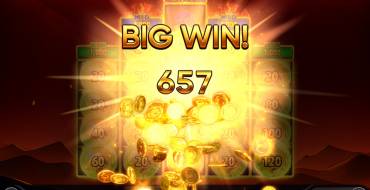 Burning Coins 20: Gewinne
