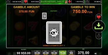 Burning Hot 6 Reels: Risiko-Spiel
