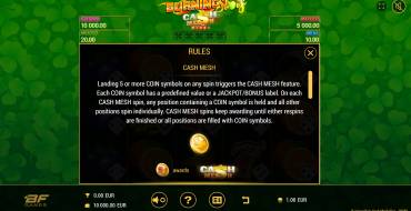 Burning Slots Cash Mesh Dice: Bonus Spiele