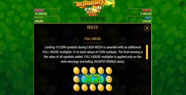 Burning Slots Cash Mesh Ultra Dice: Bonus Spiele