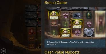 Canyon Riches: Bonus Spiele