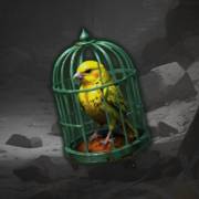 Canyon Riches: Vogel