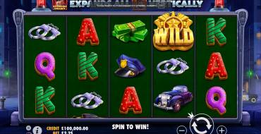 Cash Patrol: Thema