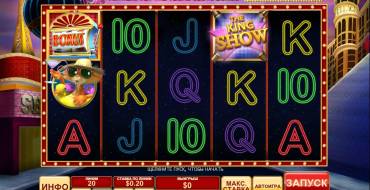 Cat in Vegas: Bilder