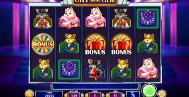 Cats and Cash: Schnittstelle