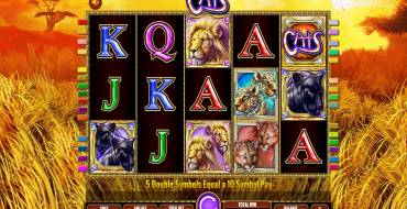 Cats: Spielautomat