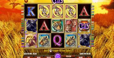 Cats: Gewinne