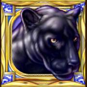 Cats: Panther