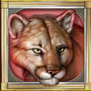 Cats: Luchs