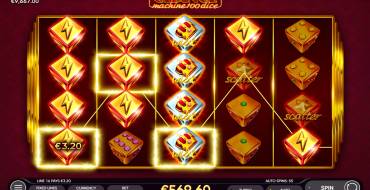Chance Machine 100 Dice: Gewinne