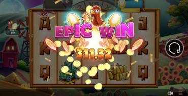 Chicken or the Egg?: Beeindruckende Gewinne
