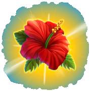 City Pop Hawaii: Roter Lotos