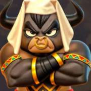 Cleo Team: Stier