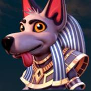 Cleo Team: Hund