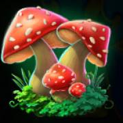 Clover Gold: Pilze