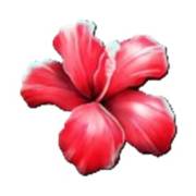 Club Tropicana — Happy Hour: Blume