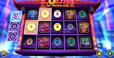 Coins of Fortune: Multiplikatoren
