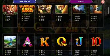 Cougar Cash: Auszahlungstabelle