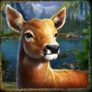 Cougar Cash: Hirsche