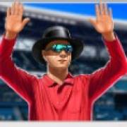 Cricket Mania: Schiedsrichter