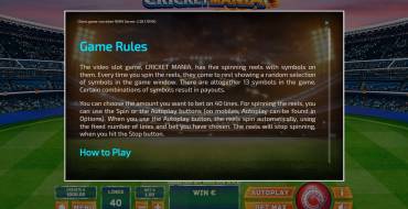 Cricket Mania: Regeln