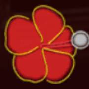 Cuba Caliente: Blume